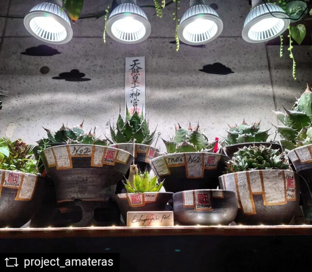 TSUKUYOMI LED 使用実例 @kumanomi.360 様 – 植物育成ライト 専門店