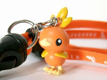 ポケモン図鑑 アチャモ（グッズ）