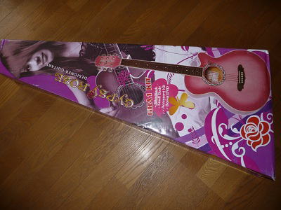 アコギ Gypsy Rose おしゃれでかわいいギター