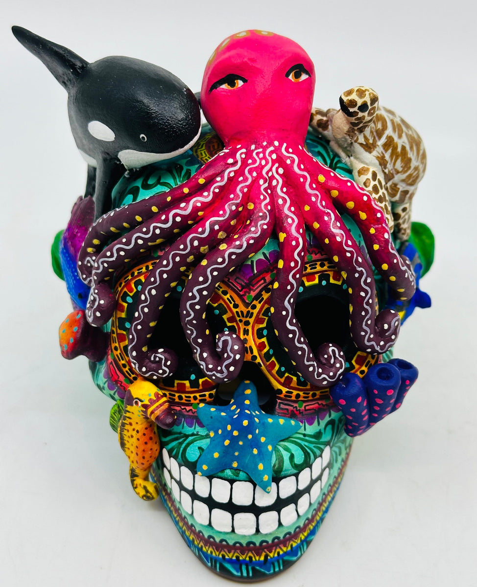 castillo-sea-life-skull-