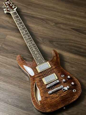 Schecter C-1 E/A Classic Cats Eye – nafiriguitar.com