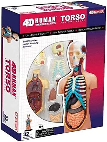 4D Puzzle Body Torso 32pcs Human Anatomy 3D Study Model Tool Toy