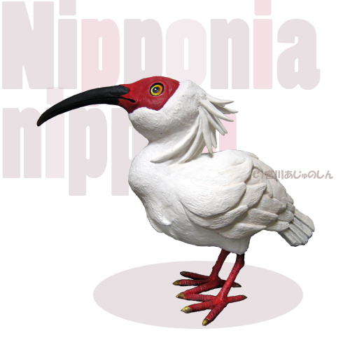 トキ（日本生まれ） | 造形粘土作家・宮川アジュ