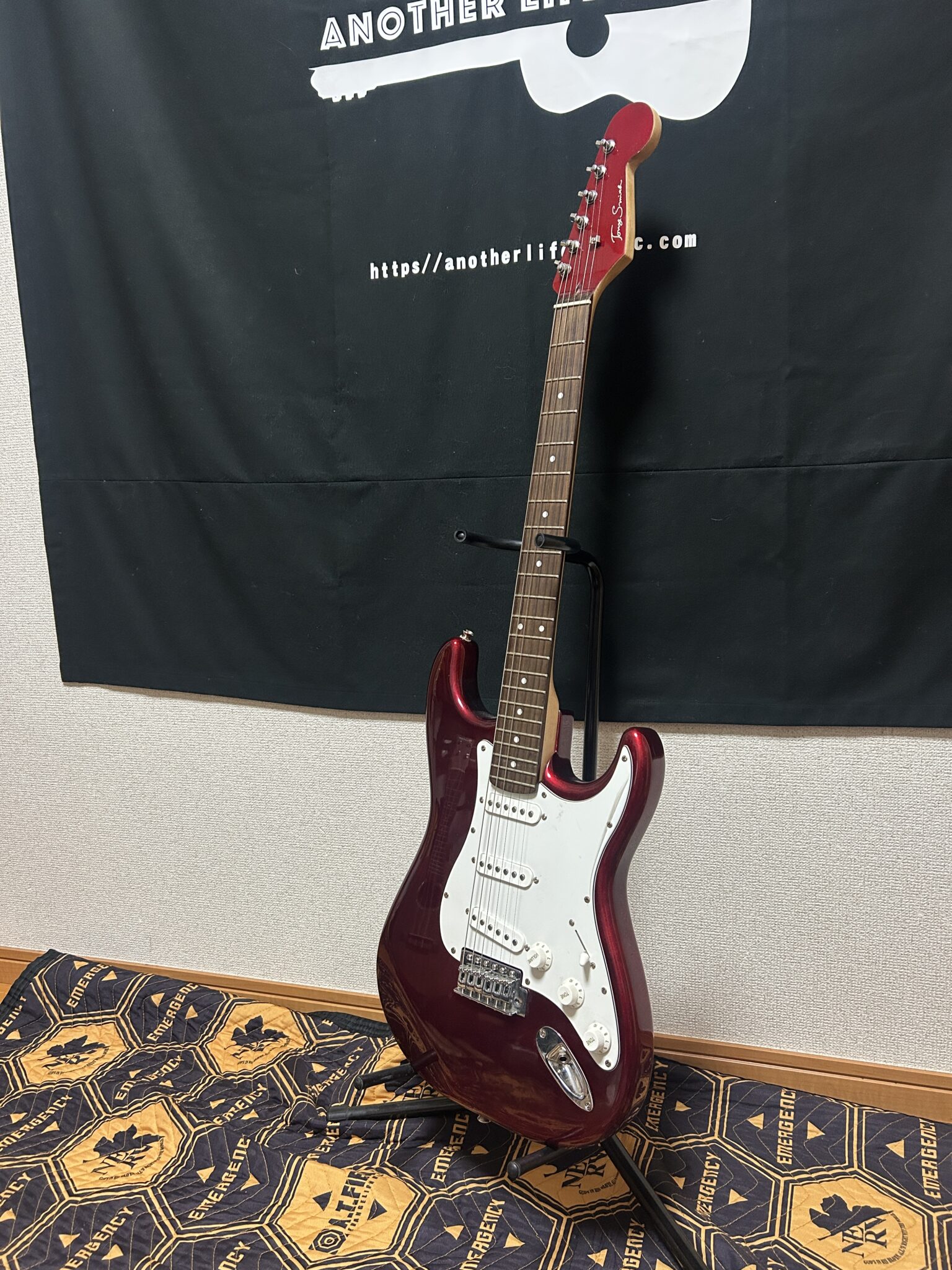 ジャンクさんいらっしゃい（Tony Smithストラトタイプ編