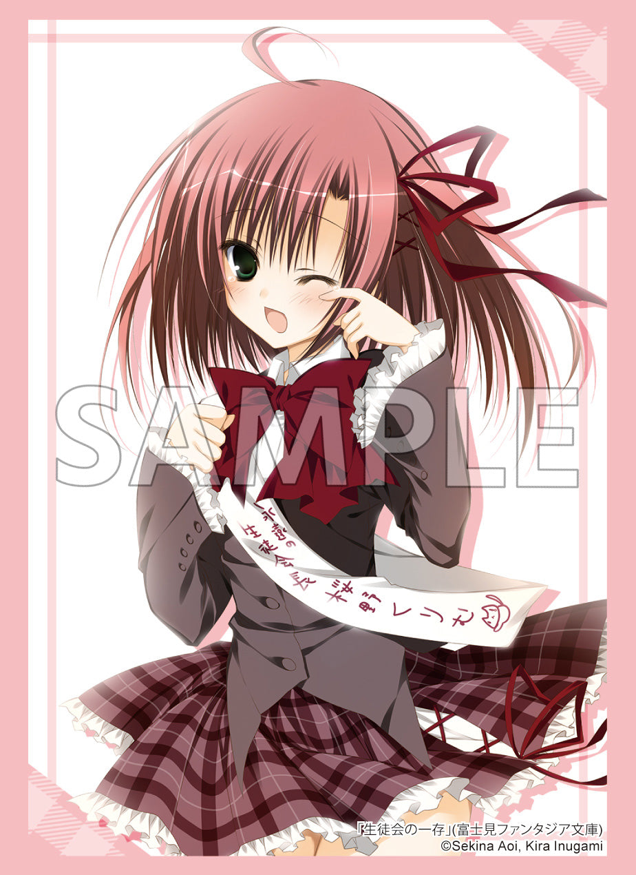 FUJIMIfantasia_2024__sleeve29.