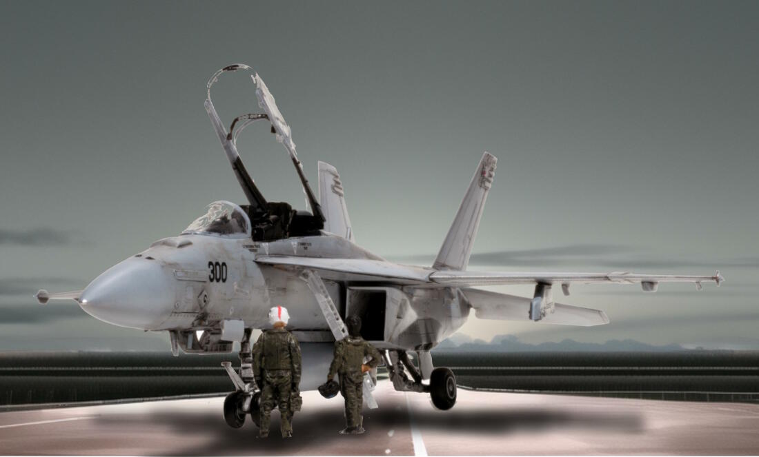 アメリカ海軍武器学校「トップガン」 F-18F フェニックス＆ボブペア機