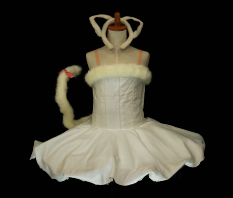 バレエ衣裳レンタル バレエ貸衣装 格安 | バレエ衣裳レンタルなら