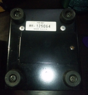 RAT】ドブネズミ買いました【その1】 - Full10