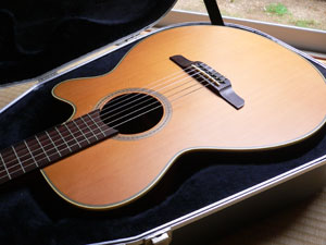 Guitar Collection NO.6 