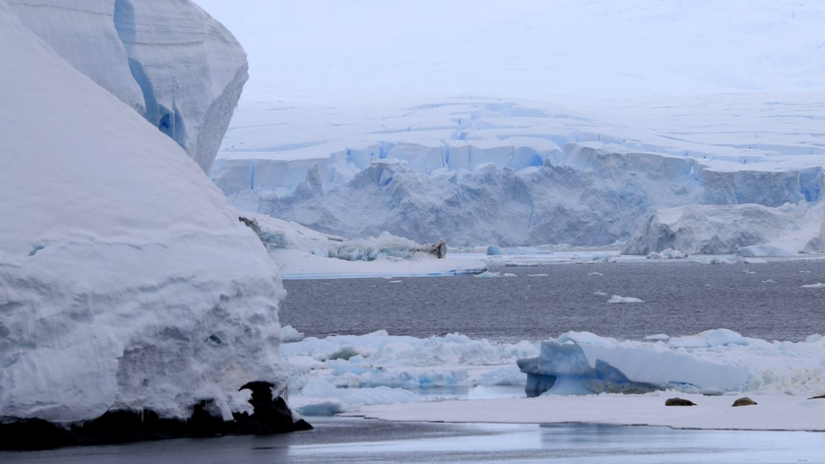 氷が解けると洪水になる都市は？ 米NASAが予測 - BBCニュース