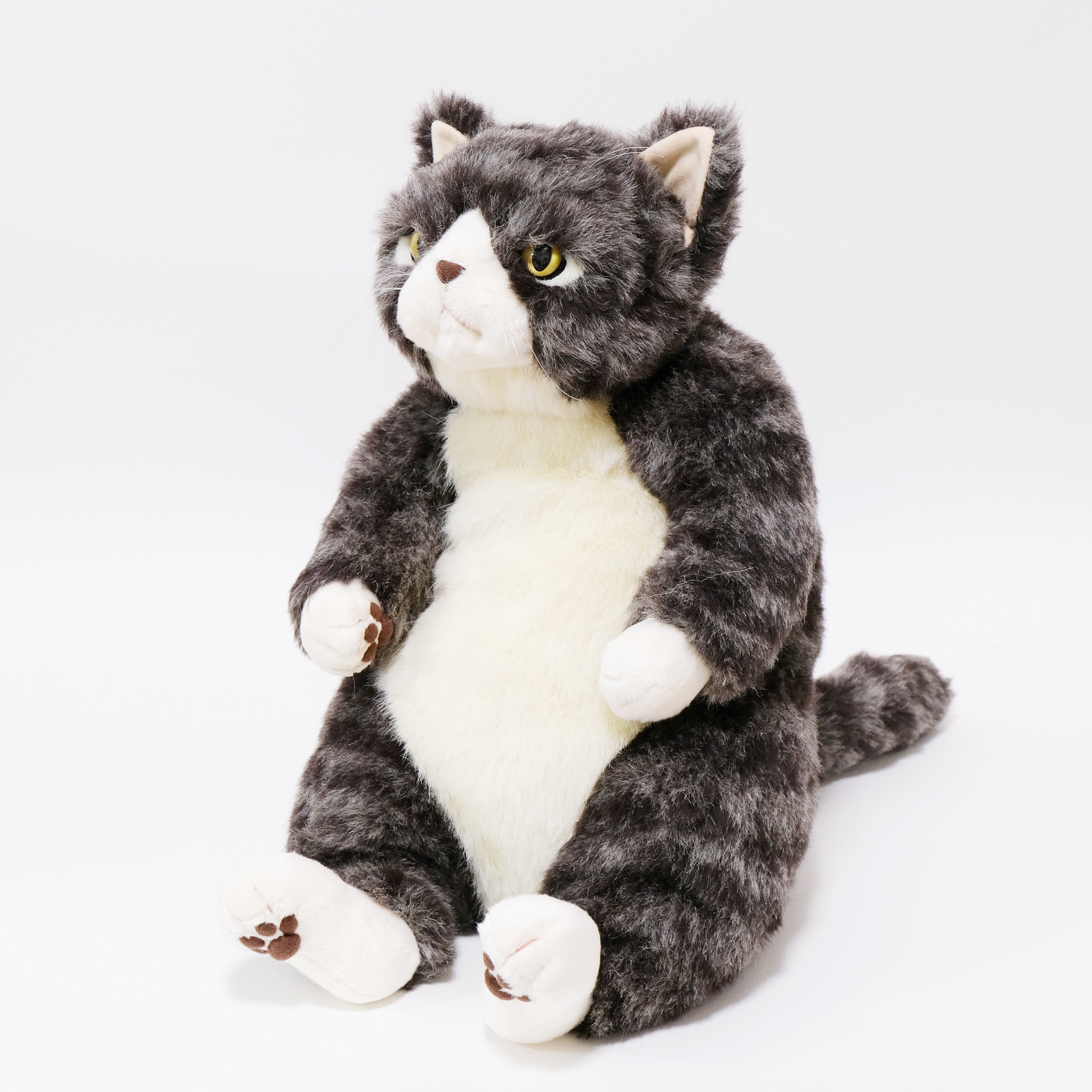 勘太 Kanta 猫のぬいぐるみ – Cuddly公式オンラインショップ