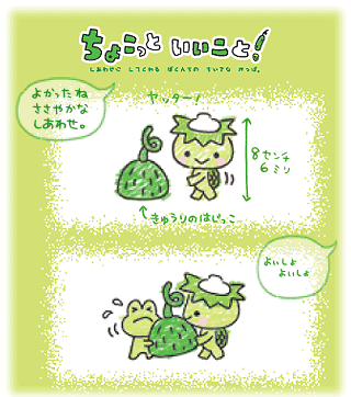 quirky - a guide to San-X and characters: Chokotto Iikoto!