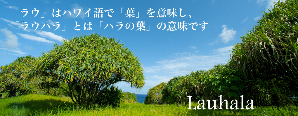 ハワイの植物：Lauhala（ラウハラ）の育て方 - ハワイアン・セレクト