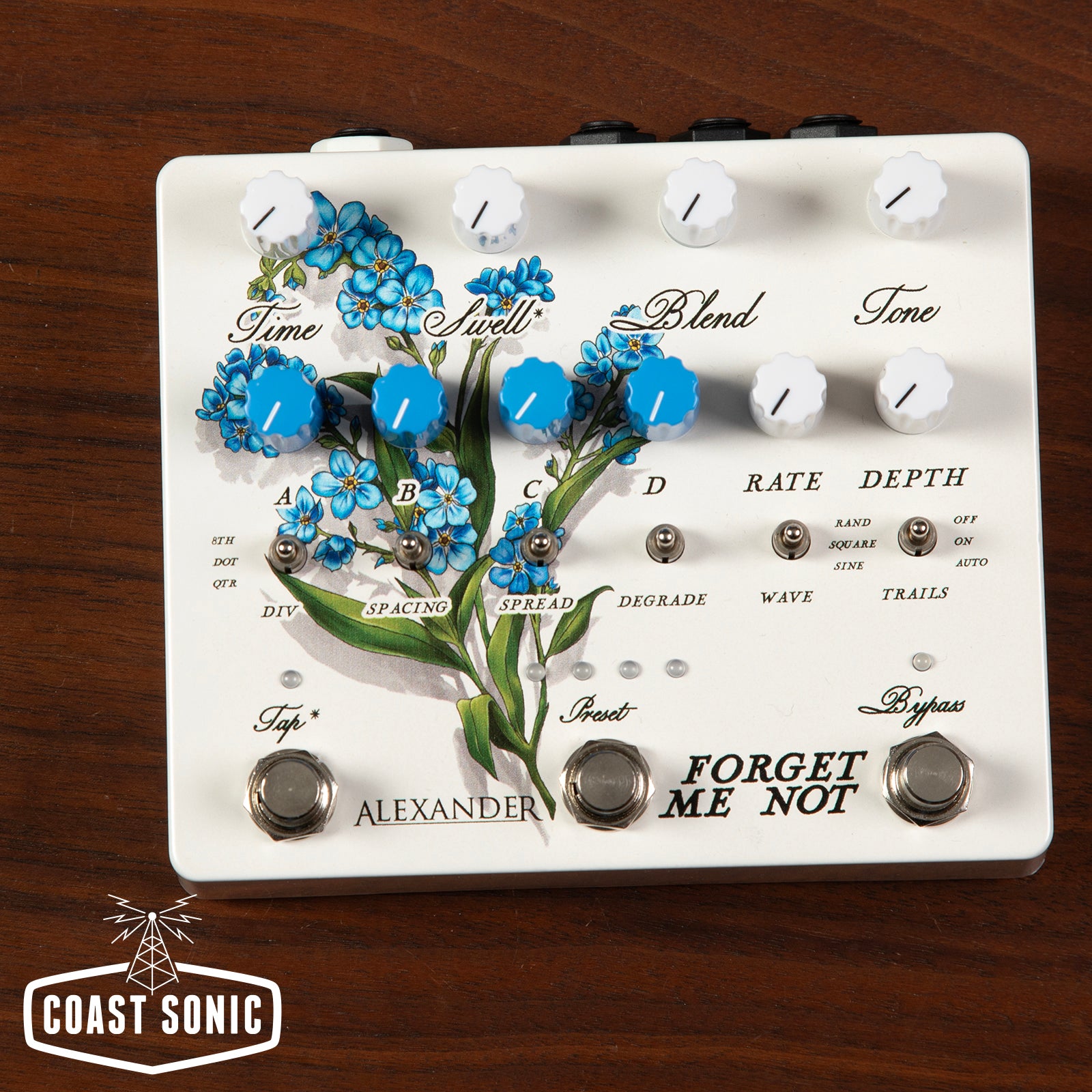 NewForgetMeNotDelay.jpg?crop=