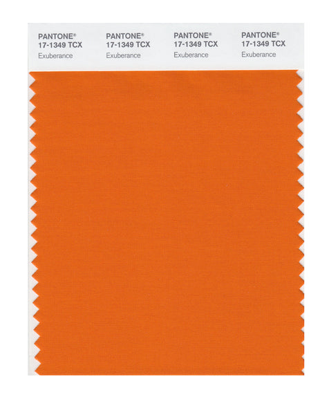 Pantone SMART Color Swatch Card 17-1349 TCX Exuberance - Columbia