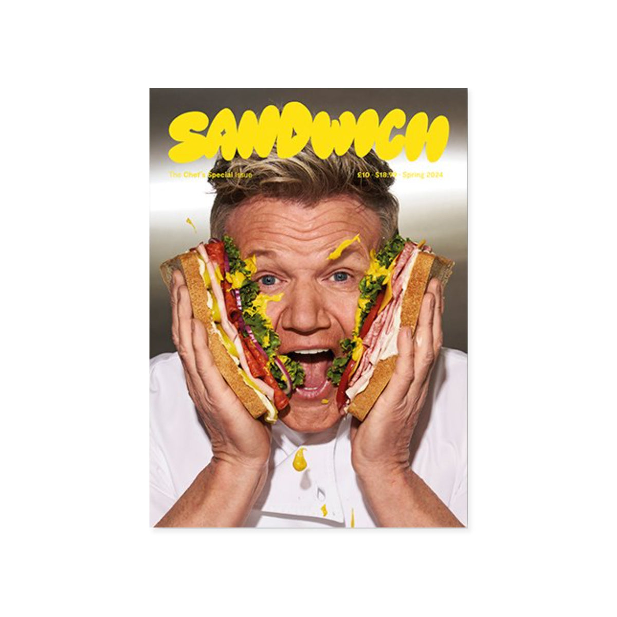 Sandwich Magazine - The Chefs Special – Dale Zine Shop