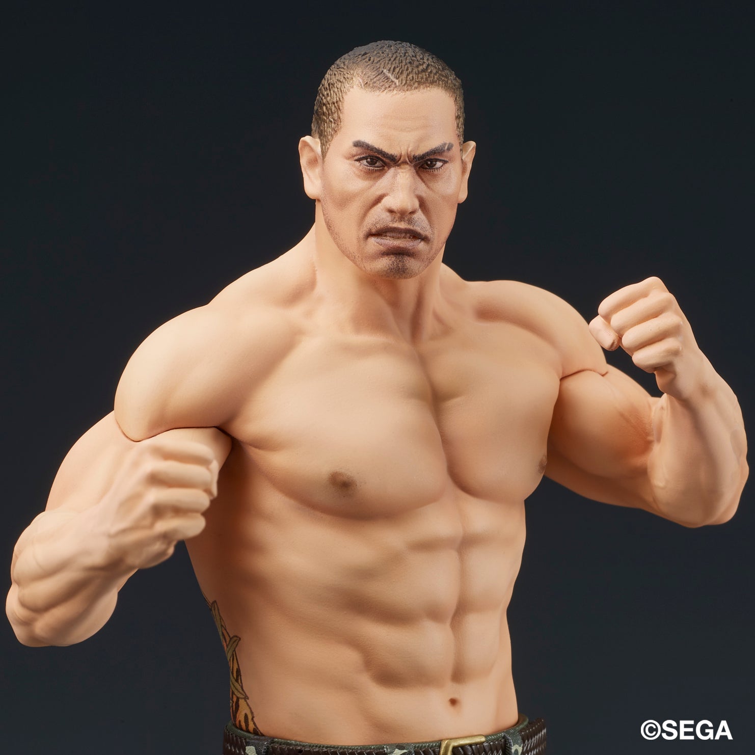 DIGSTA 『龍が如く』冴島大河-激闘-