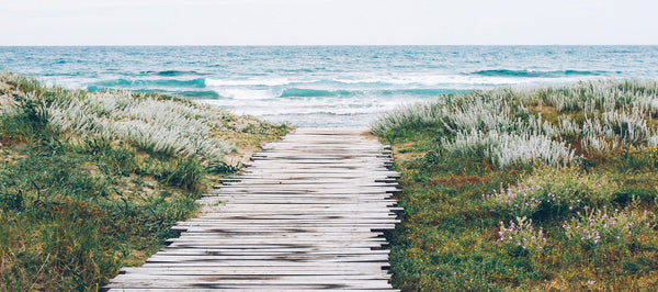 オーガニックライン（シフォリア オーガニック） – フィトメール公式