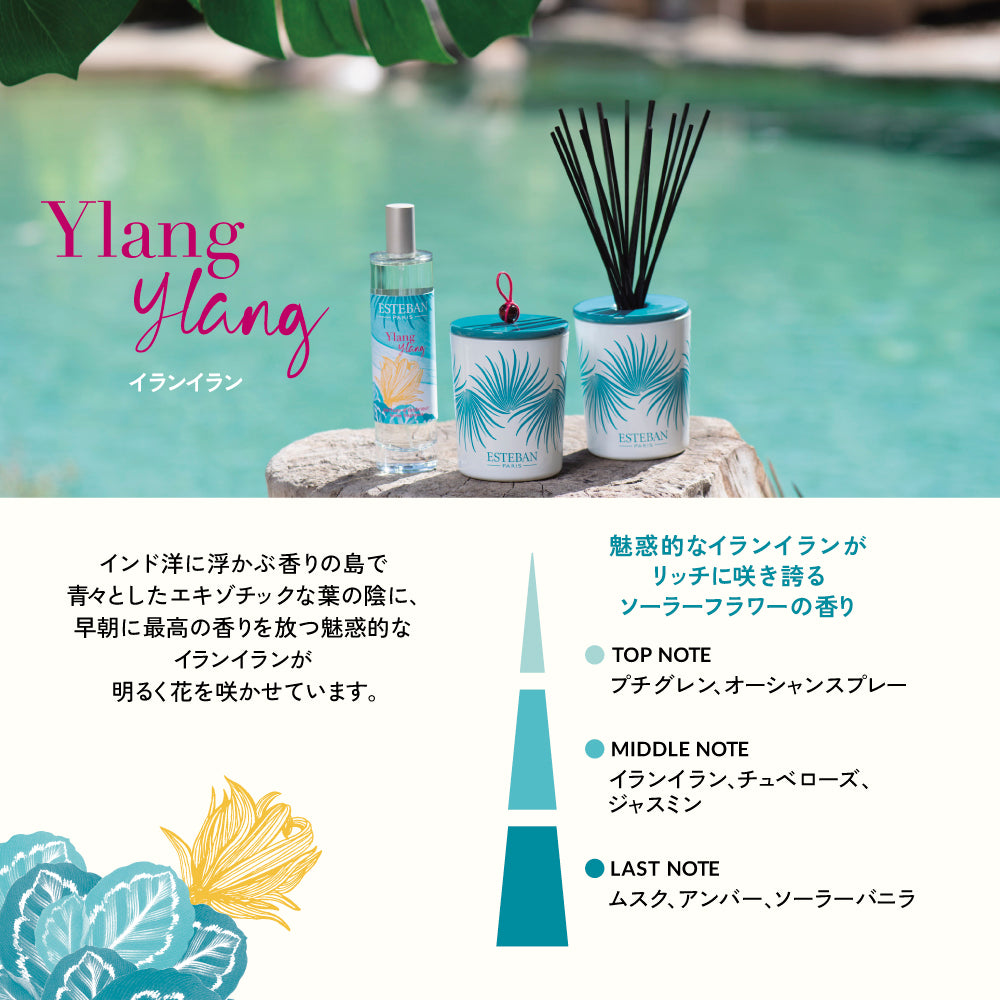 イランイラン キャンドル – ESTEBAN