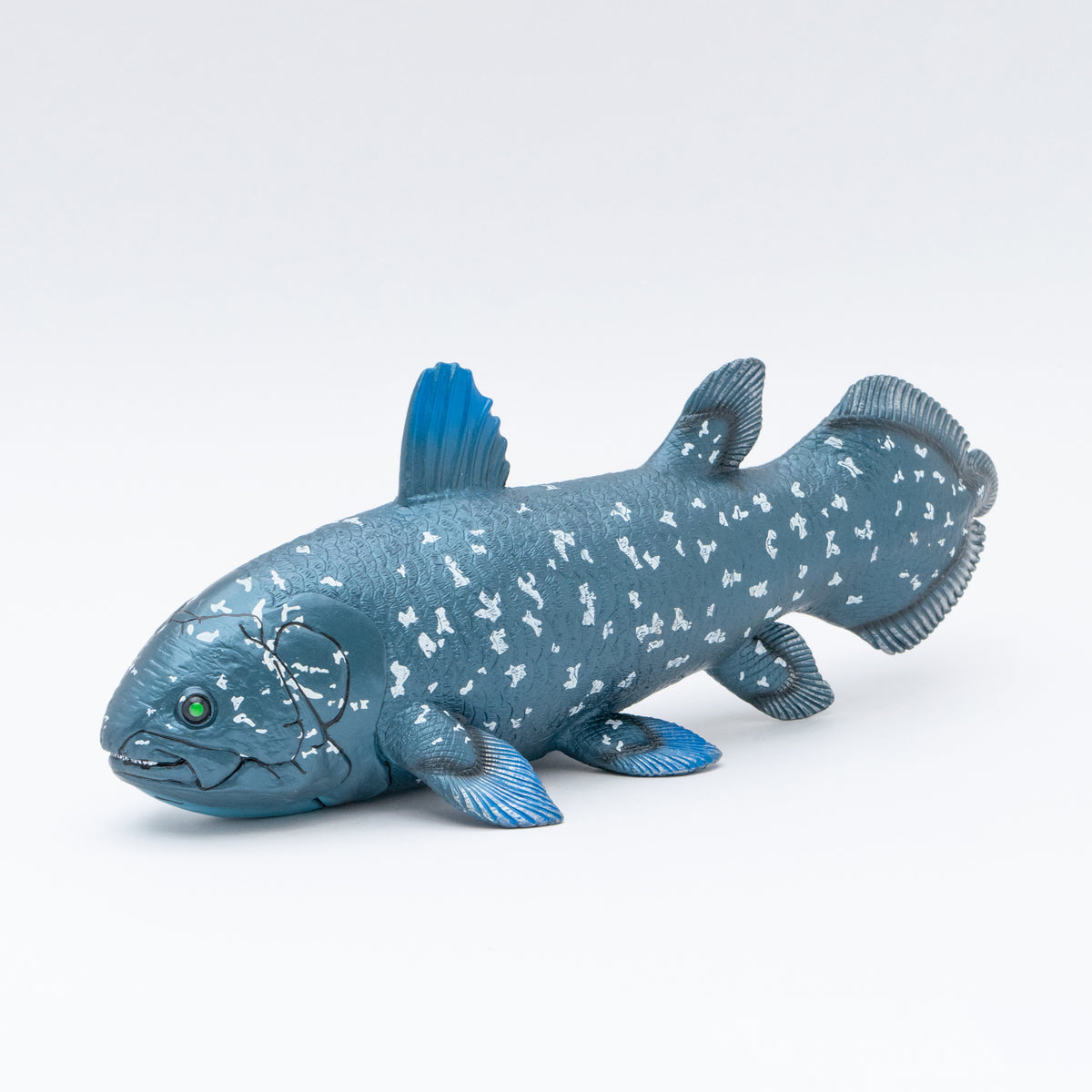 Favorite｜シーラカンス ビニールモデル｜愛嬌とリアルな雰囲気が共存
