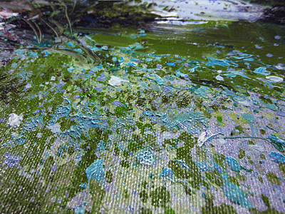 トレンツ・リャド 新作版画XIMシリーズ 【エルベストンの森】 フラン