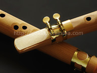 カメレオンのウッドサックス