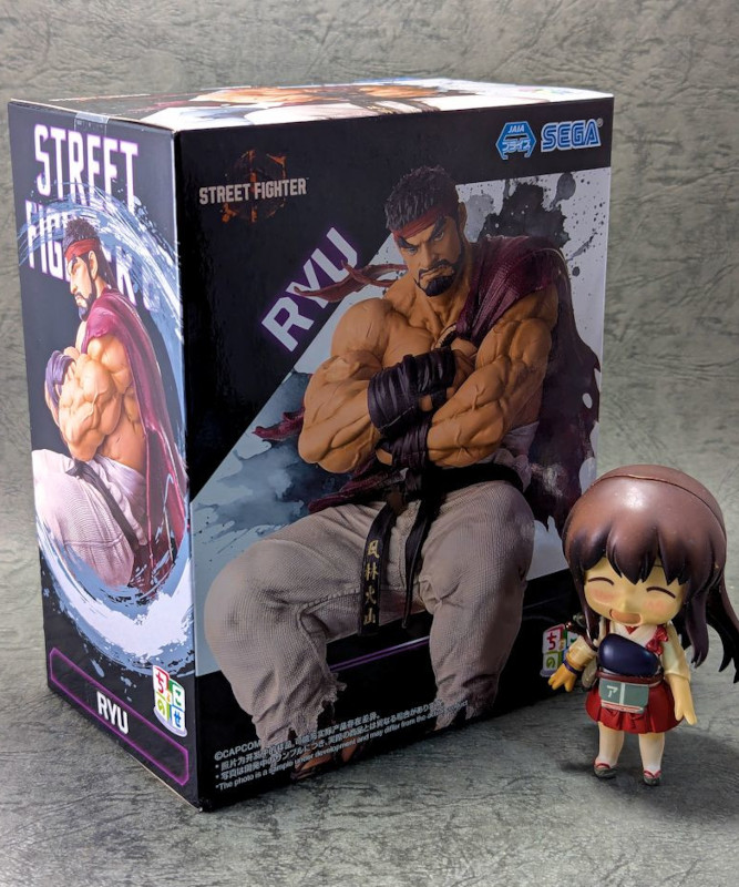 玩栗犬と、ストリートファイター6 ちょこのせプレミアムフィギュア