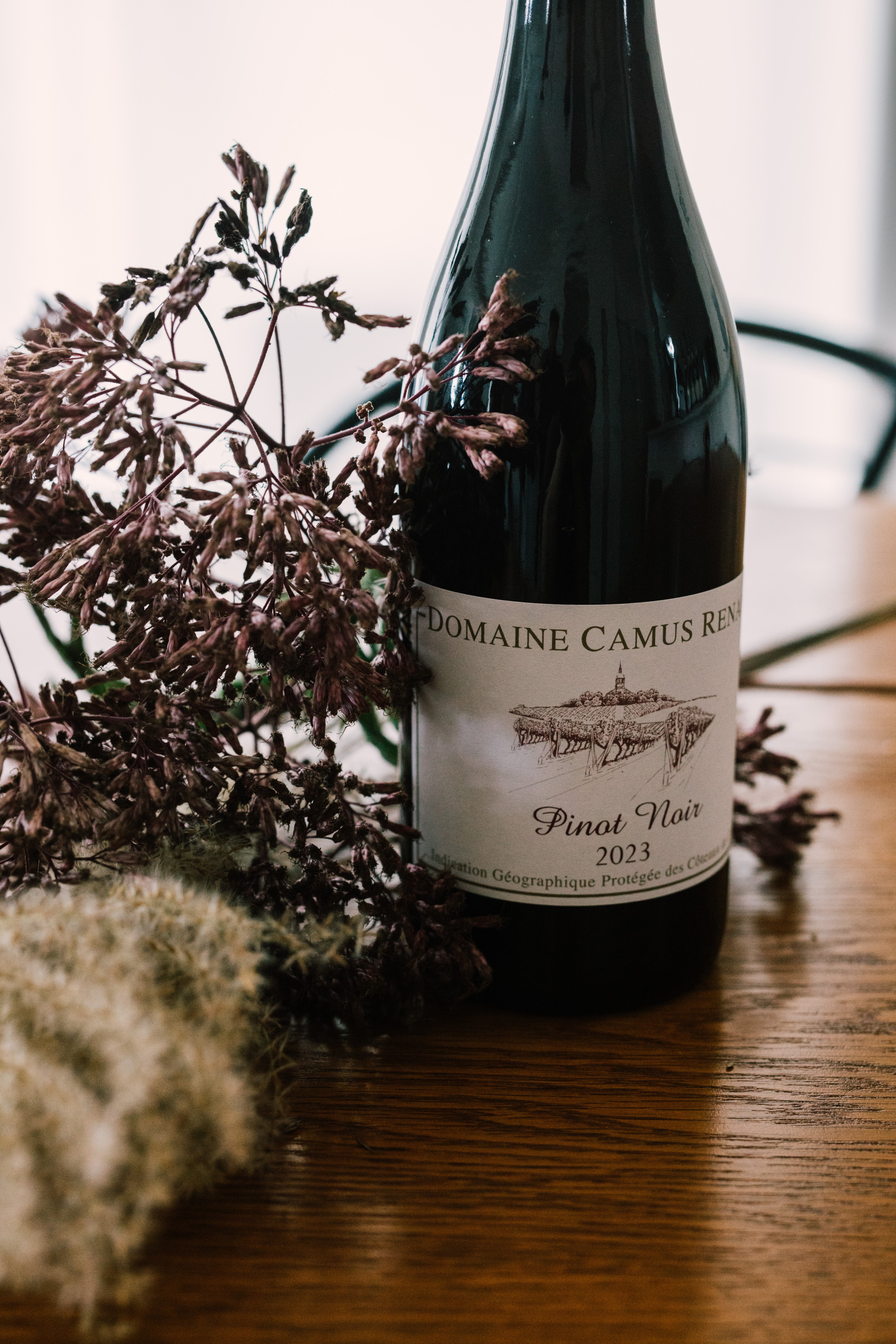 ドメーヌ・カミュ・ルノー】ピノ・ノワール I.G.P デ・コトー・ド