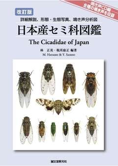 改訂版 日本産セミ科図鑑詳細情報【昆虫】 - 図鑑.jp