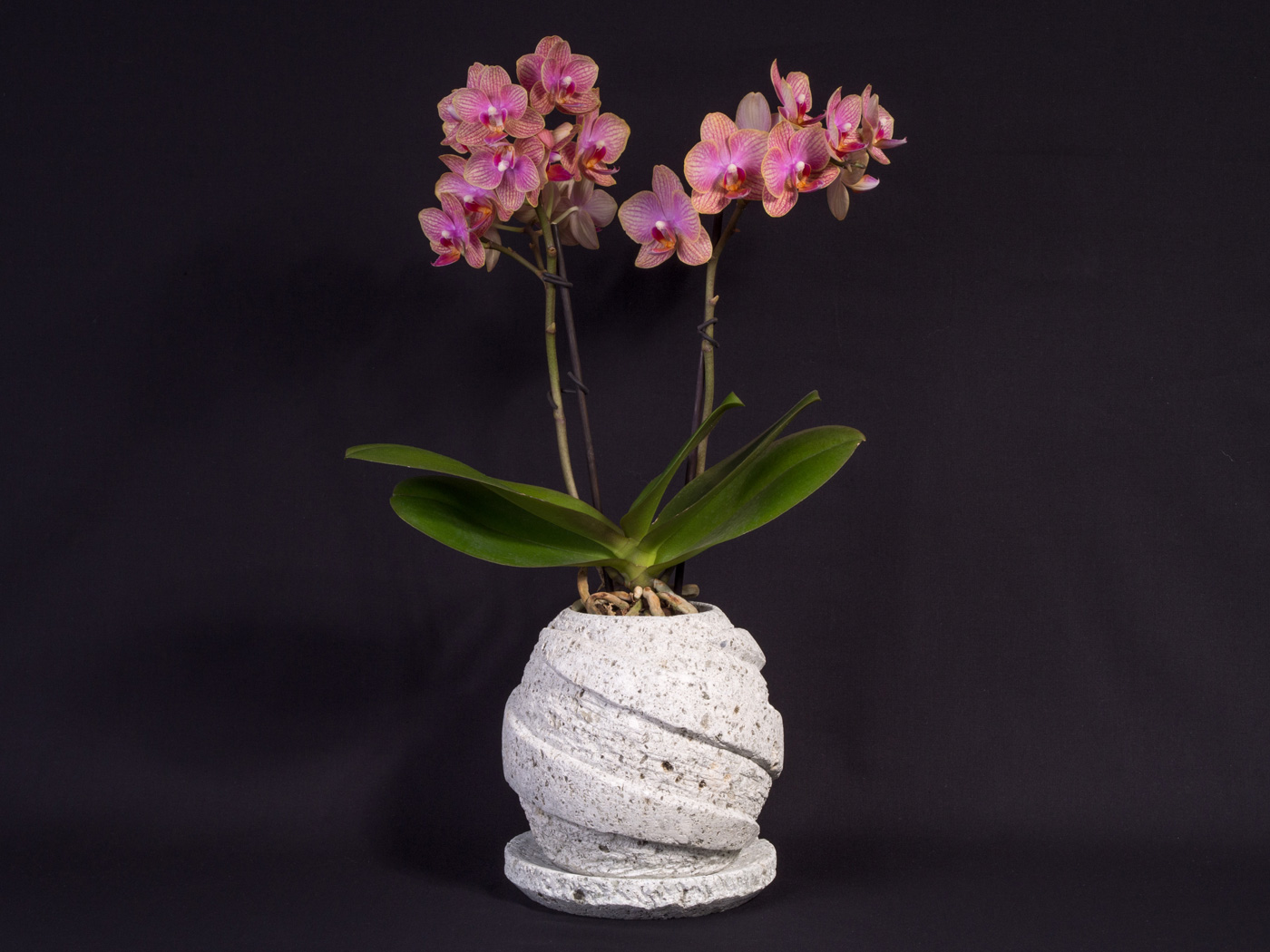 大谷石「軽石凝灰岩」のおしゃれな植木鉢・盆栽鉢（石鉢）の販売を再開