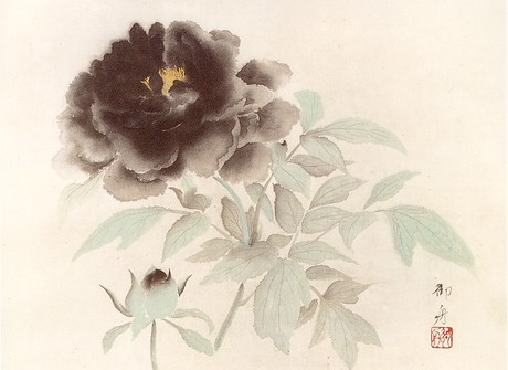 日本画満開～牡丹・菖蒲・紫陽花・芥子～: いづつやの文化記号