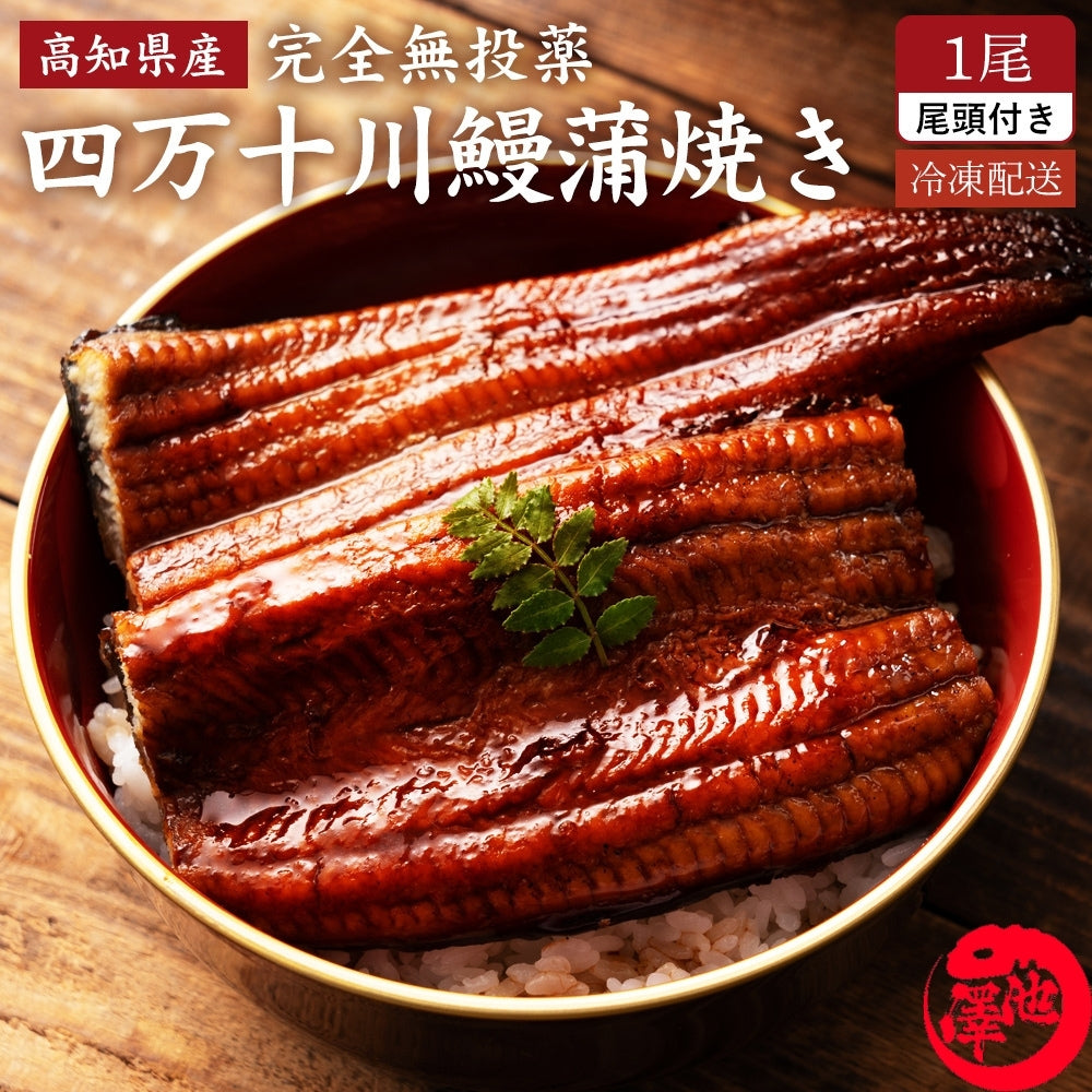 四万十川産 うなぎ蒲焼き 1尾 無投薬 国産 四万十鰻 – 池澤鮮魚