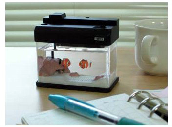 News：名刺サイズの水族館をデスクトップに