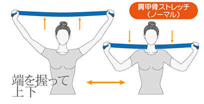 バイオエスペランサ 万能バンド QOLを高める