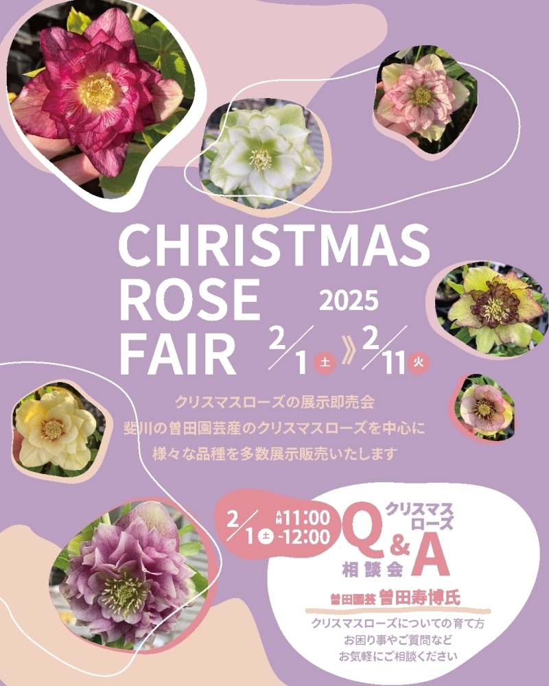 image.php?id=2147797909&p=