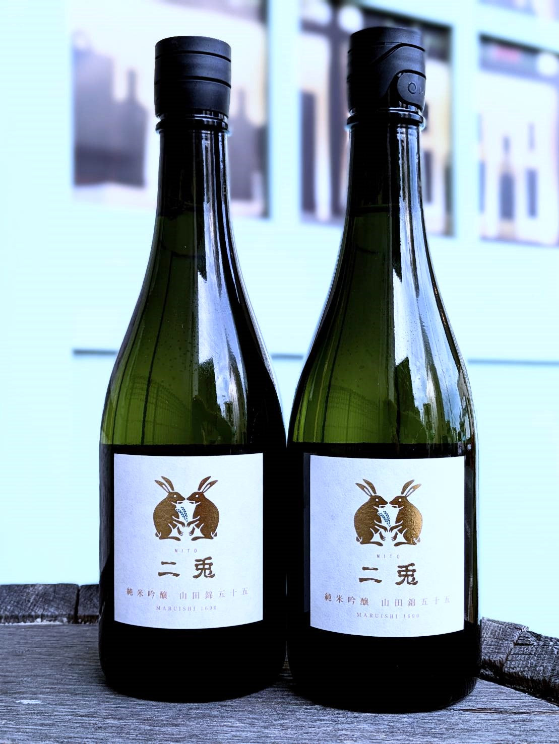 55_2025_c4d1b283-d9aa-4d29-