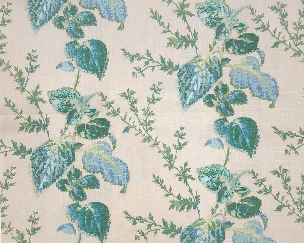 coleusbluegreen_1200x1200.jpg?