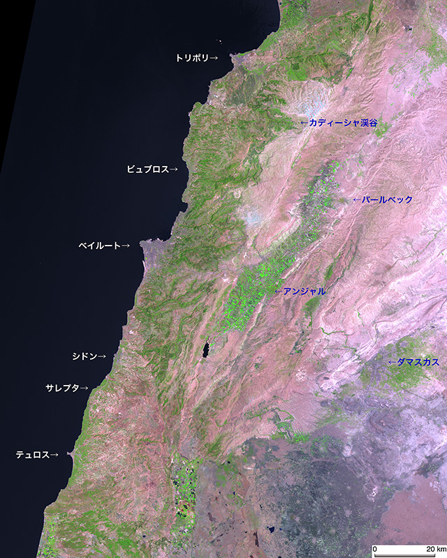 レバノン：フェニキア・ローマ遺跡調査（2011年3月）