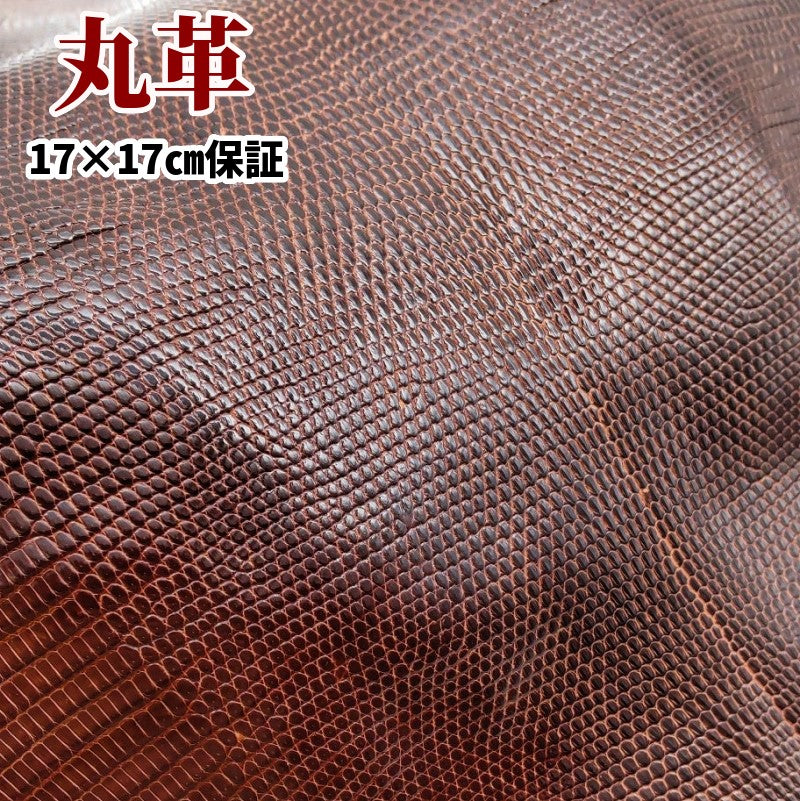 リザード革Lizard・ツヤあり、brown/茶色の通信販売 – レザーマニア