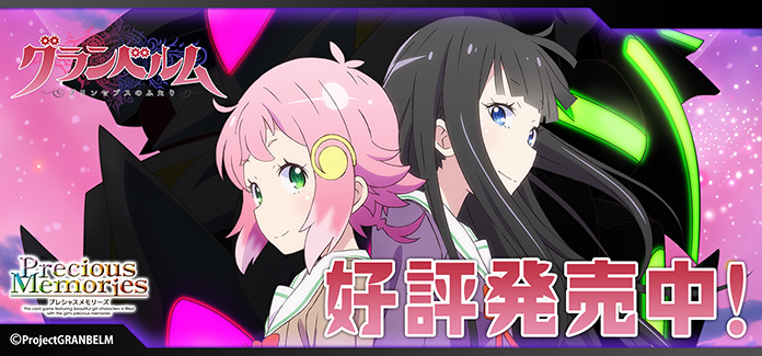 プレシャスメモリーズ 製品ラインナップ | プレシャスメモリーズ