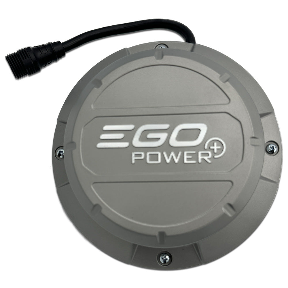 2730319001.jpg?v=1666647285