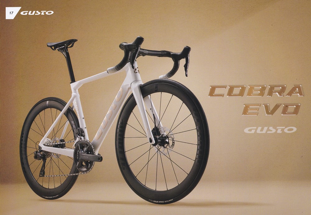 GUSTOロードバイク 新モデルが発表されました😀 | Rush Eye BICYCLE SHOP