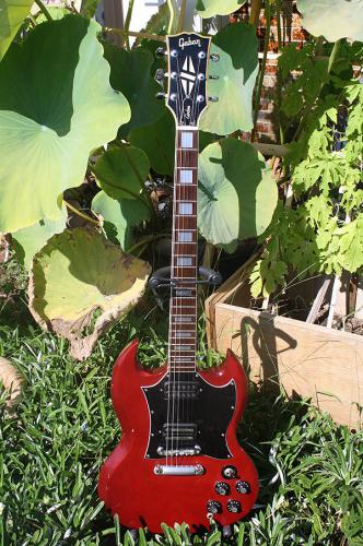 リサイクルエクスプレスジャパン / GABAN ギャバンの SG FSG550-2