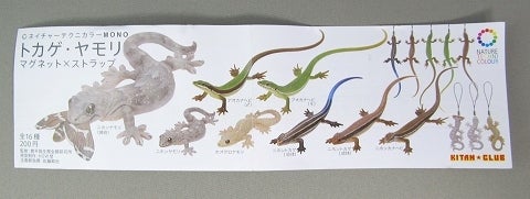 ネイチャーテクニカラーMONO トカゲ・ヤモリ マグネット×ストラップ
