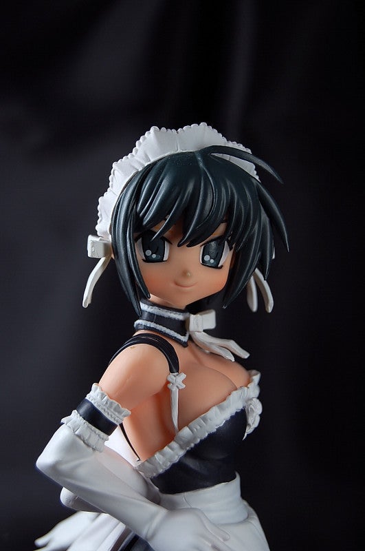 沢渡いずみ これが私の御主人様 胸はやわらか素材に（HGメイド