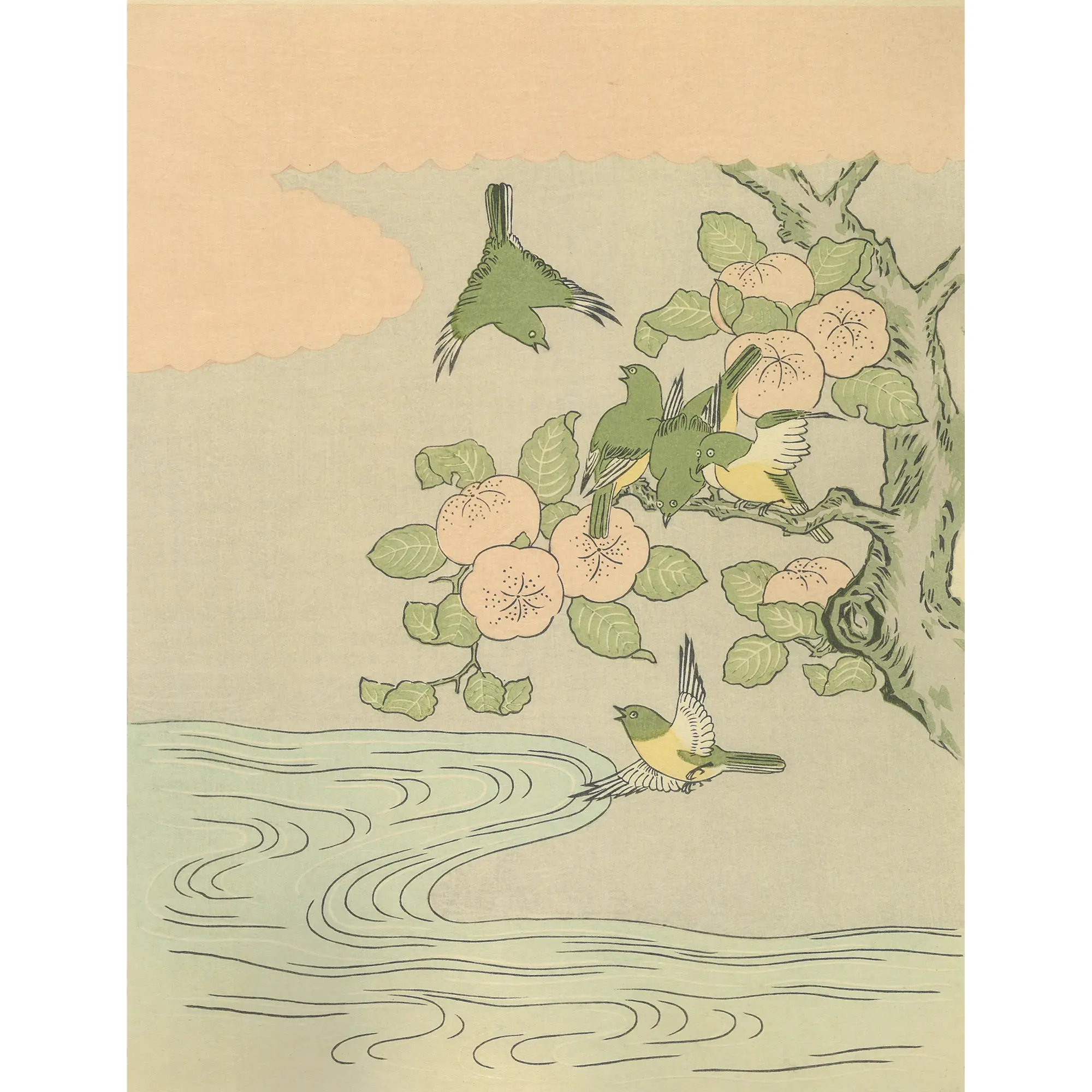 Suzuki Harunobu（鈴木春信） 鈴木春信「橘に目白」｜オンラインストア