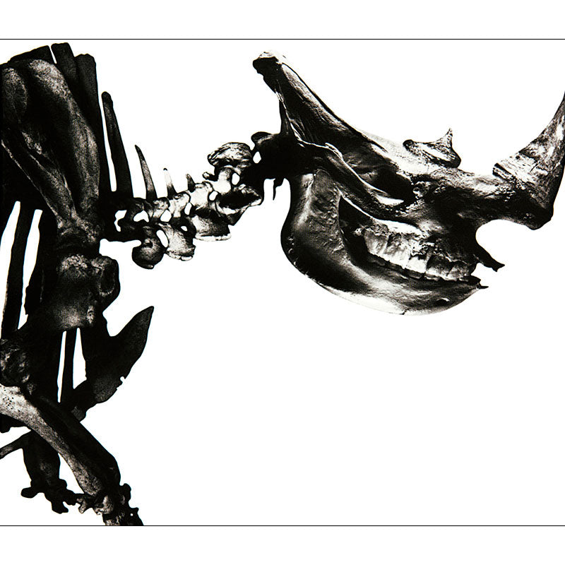 Mr.Children 1996-2000 – TOY'S STORE