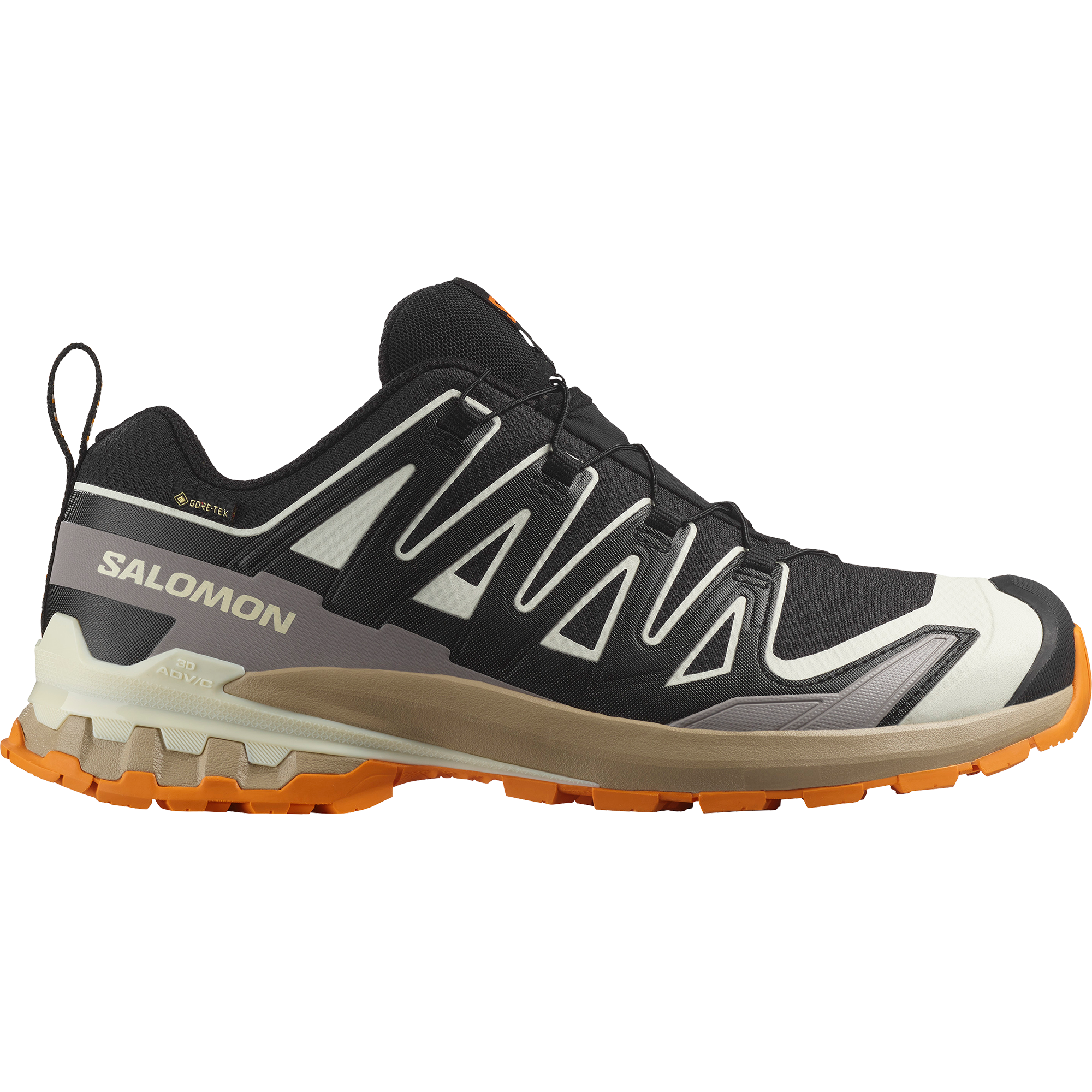 XA PRO 3D V9 GORE-TEX – サロモン公式オンラインストア