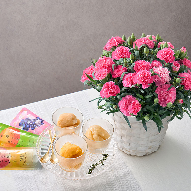 カーネーション鉢＆彩果しずく3袋 FMP－03F|母の日ギフト