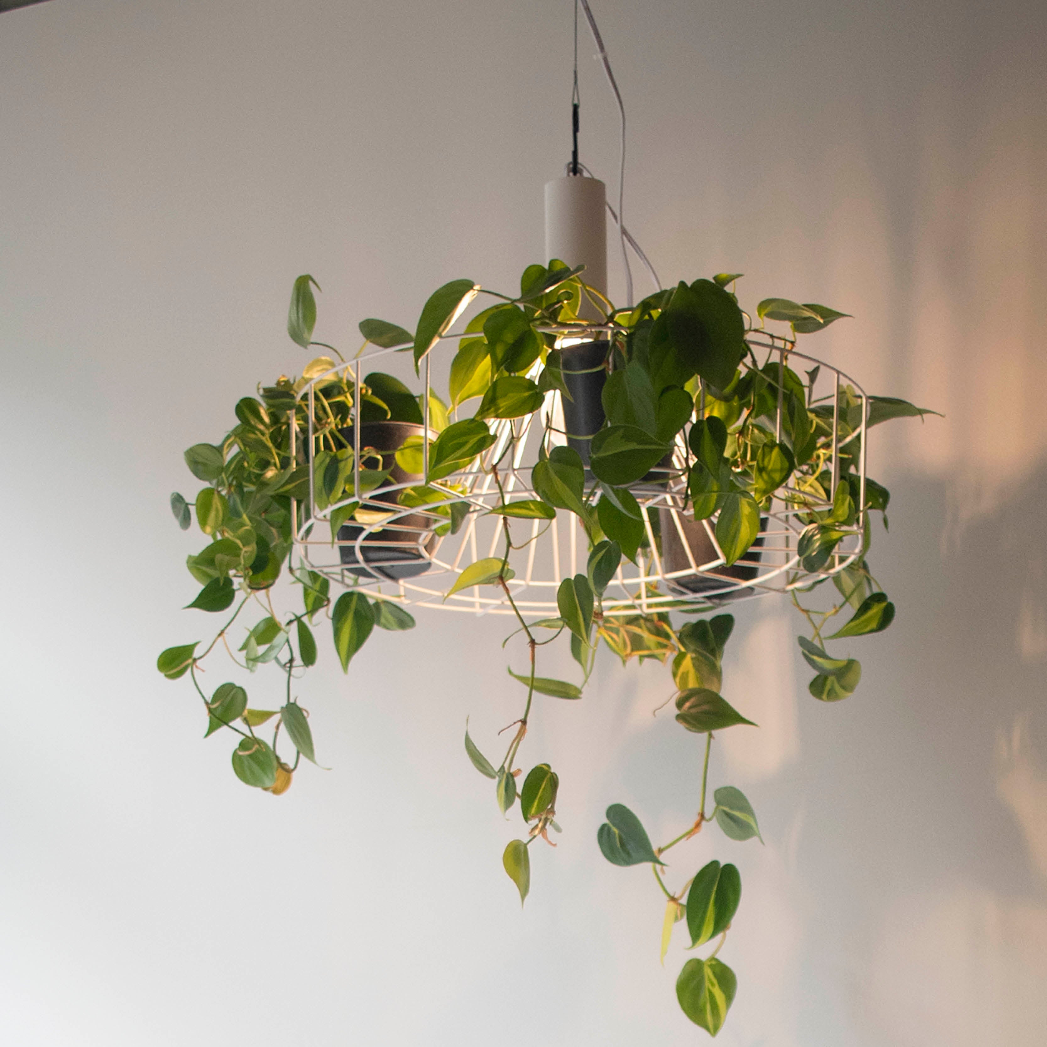 グリーンペンダントライト 引掛シーリング MPN070B 黒 MPN070W 白